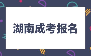 湖南成考報(bào)名