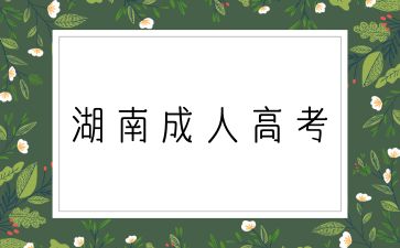  2024年湖南成考高起點英語試題（2）