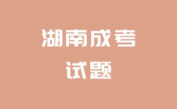 2024年湖南成考高起點《英語》考試真題及答案（4）